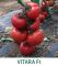 test final