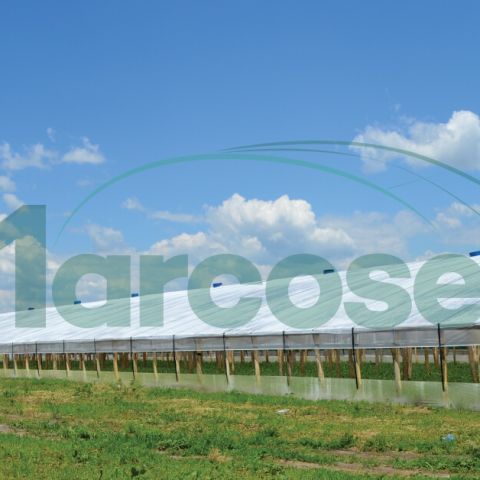 Ce tip de folie sa alegem pentru solarul nostru