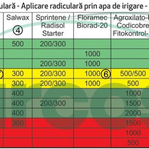 Planuri de fertilizare radiculara si foliara la tomate