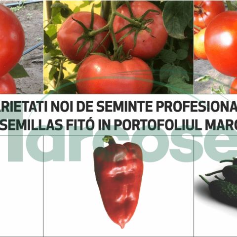 Varietati noi de seminte profesionale de la Semillas Fito