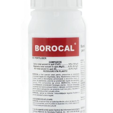 BOROCAL