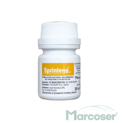 SPRINTENE